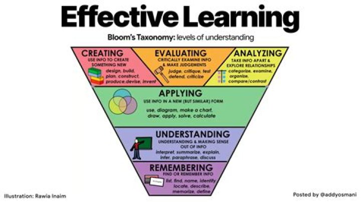 HAC.BISD: A Comprehensive Guide to Understanding and Utilizing the Platform
