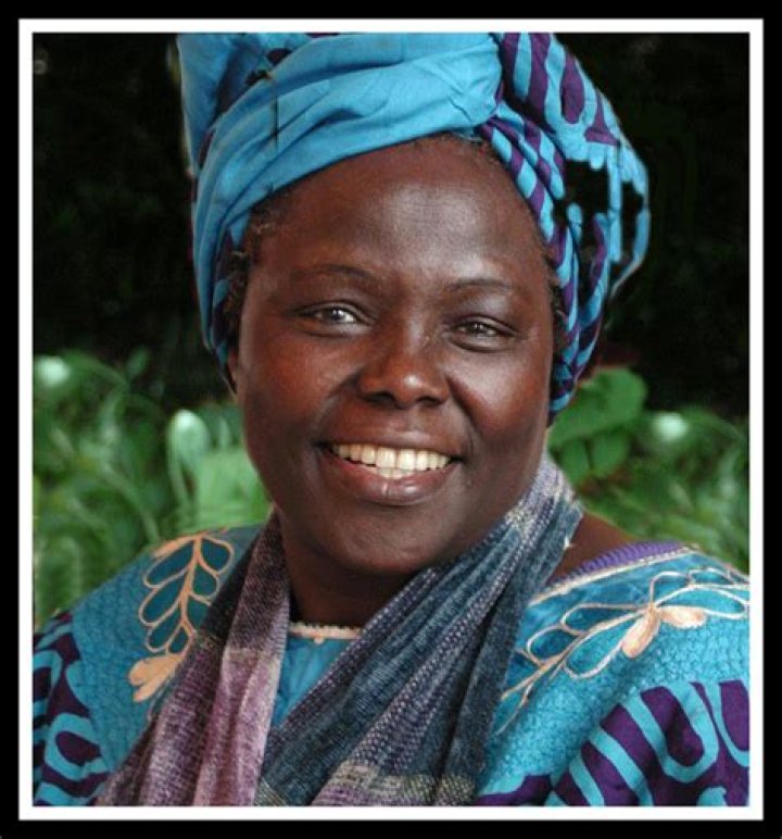 Marisol Yotta: Unveiling the Life and Achievements of a Visionary Entrepreneur